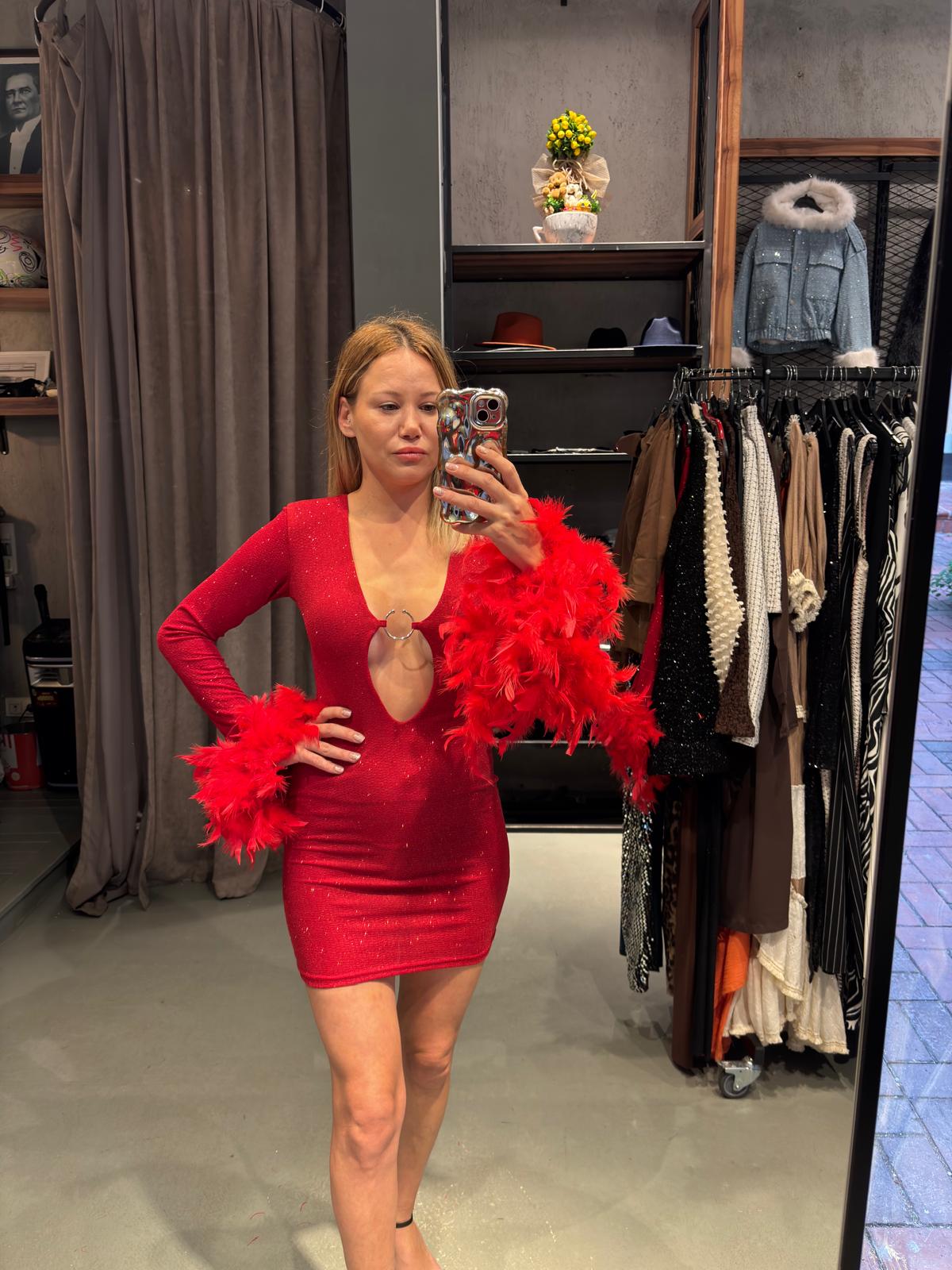 9bac9ac3-32c1-4ae1-9127-aeed9798dd14 Işıltılı Tüy Detaylı Elbise - Görsel 1